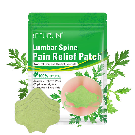 Herbal Back Pain Relief Patches – 12 pcs